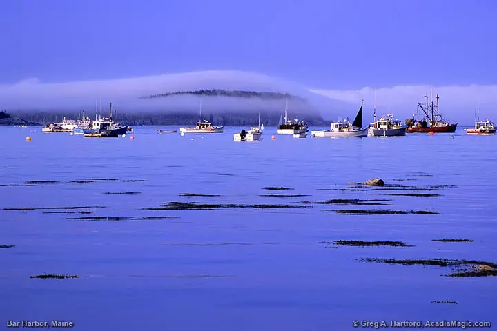 Late afternoon fog over Bar Island