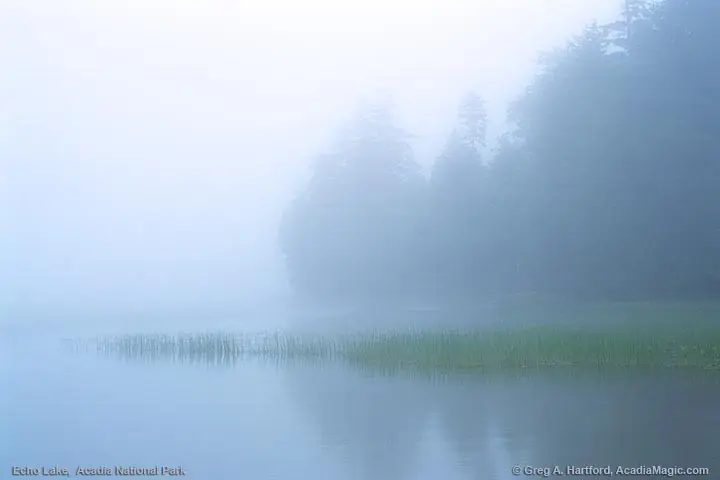 Thick fog at Echo Lake in Acadia