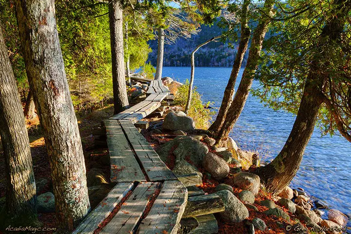 Boardwalk at Jordan Pond, Maine