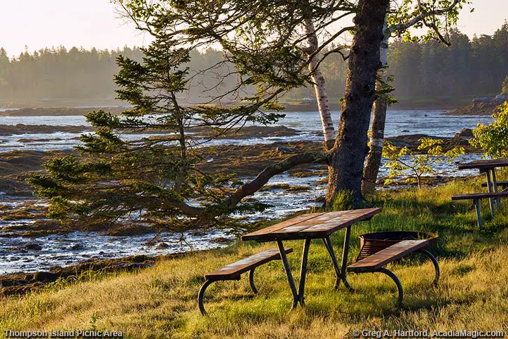 Picnic Table on Thompson Island in Acadia