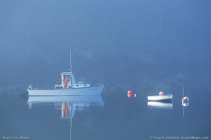 Seal Cove lobster boat and dinghy in fog
