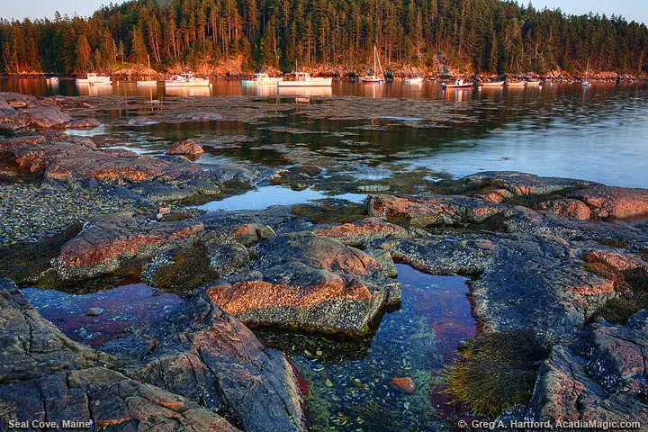 Tide pools and lobster boats in golden light before sunset