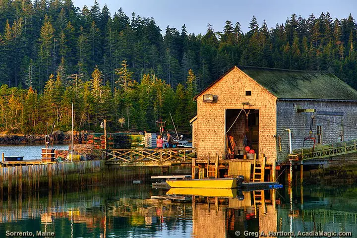 Fishing Company in Sorrento, Maine