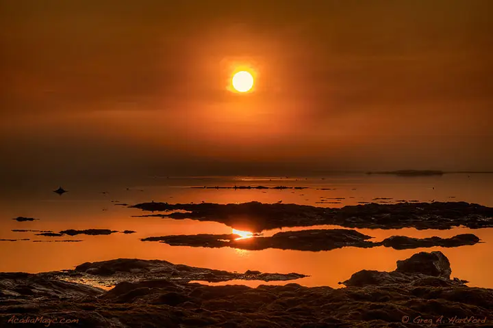 Sunrise on a foggy morning in Acadia National Park, Maine