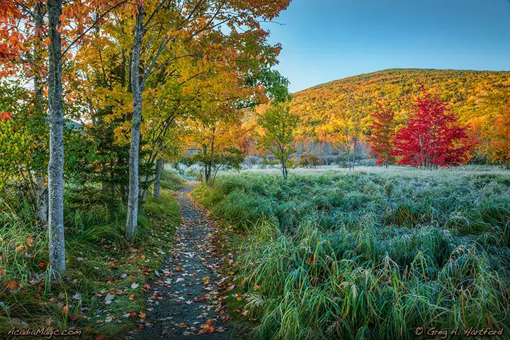 Hiking Trail at Great Meadows in Bar Harbor, Maine and Acadia