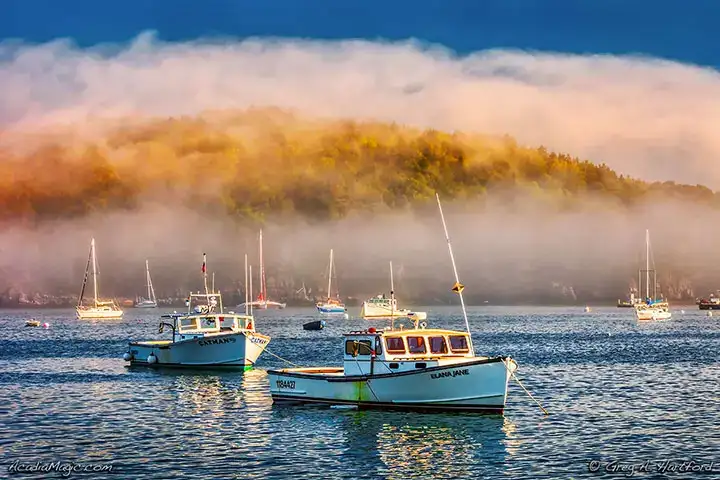 Bar Harbor, Maine Lobster Baots with Heavy Fog