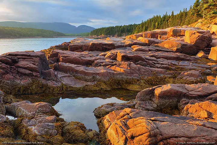 Otter Point in Acadia