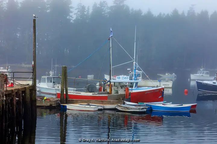 Foggy morning in Winter Harbor, Maine
