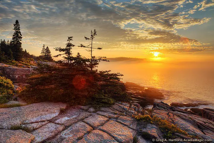 Golden sunrise in Acadia National Park