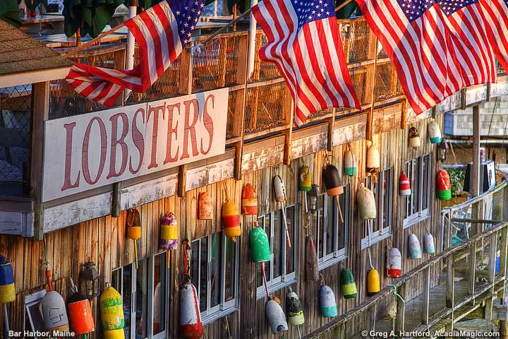 Lobster sign with American flags