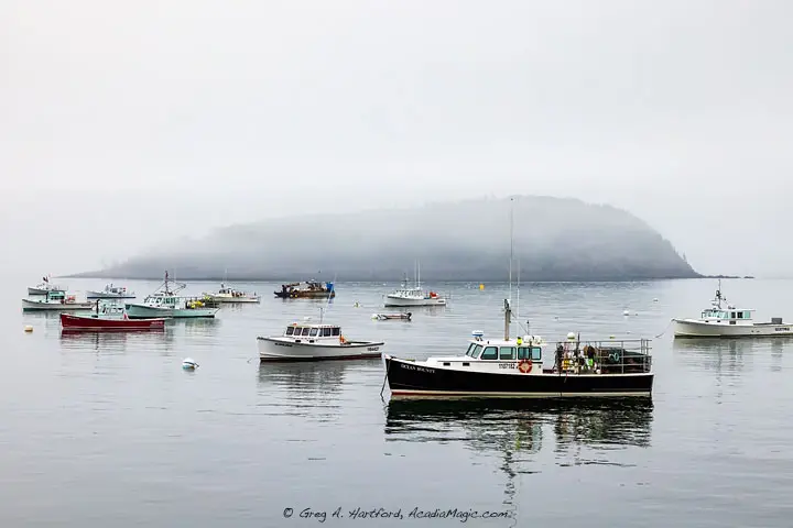 Boats in the harbor with Sheep Porcupine Island on a foggy morning