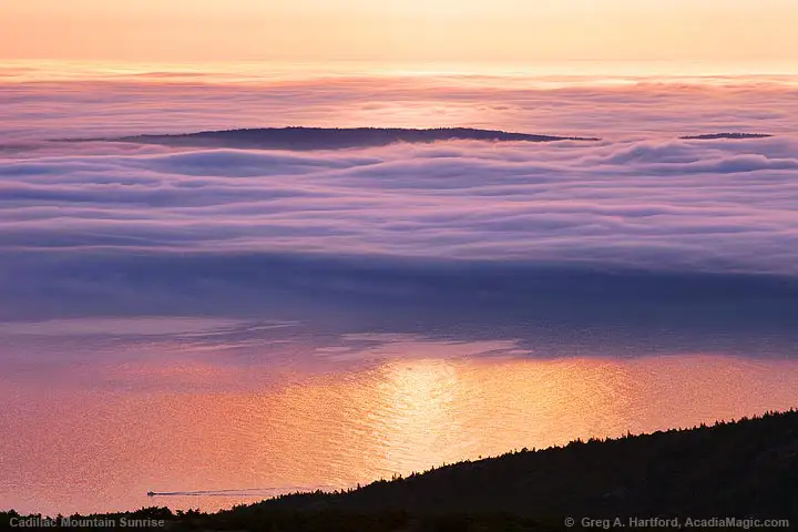Morning fog in Acadia National Park