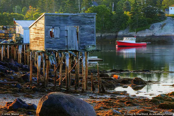 Maine lobster shack at low tide with red lobster boat