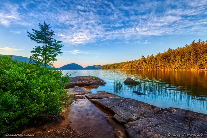 Shoreline of Eagle Lake on northern end in Bar Harbor