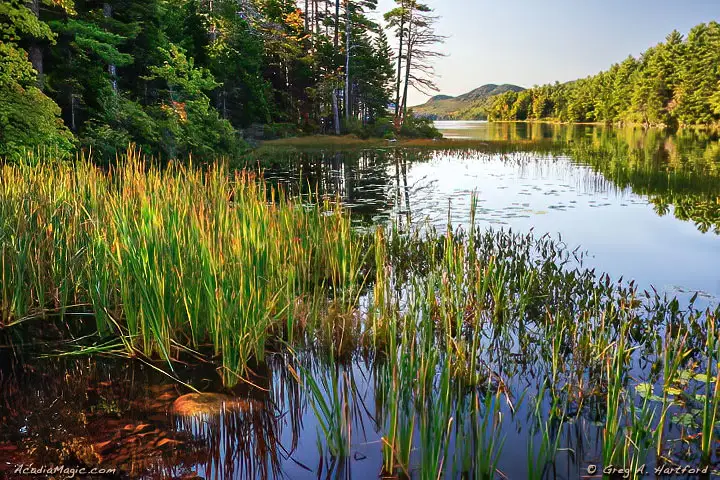 Shore of Eagle Lake in Acadia National Park