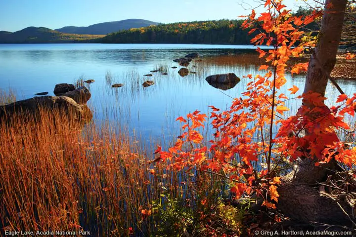 Colors of autumn leaves at Eagle Lake in Bar Harbor