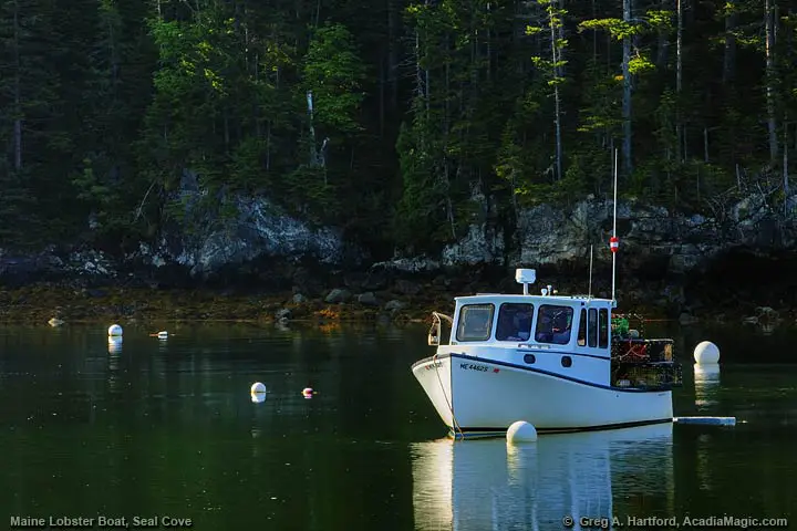 Maine Lobster Boat
