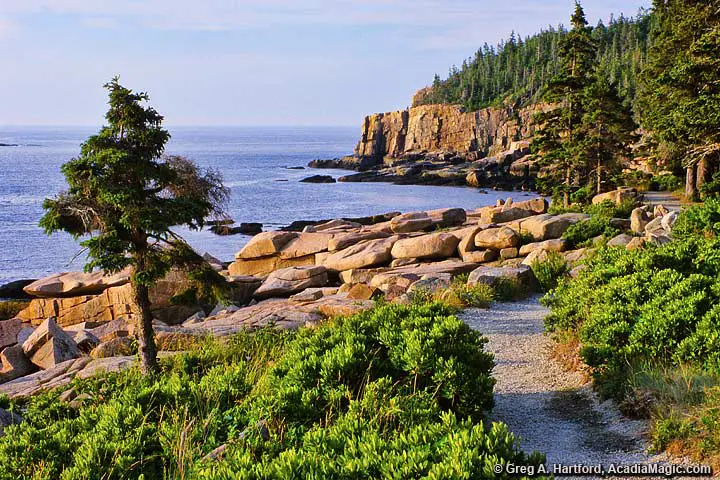 South end of the Ocean Path near Otter Cliff in Acadia