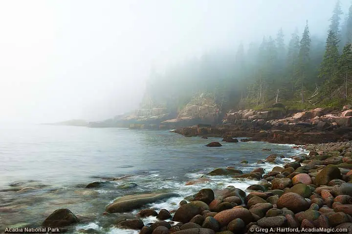 A foggy morning at Otter Cliff in Acadia