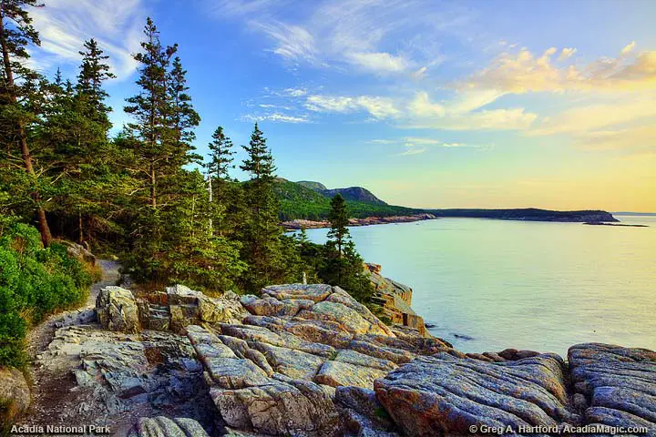 Ocean Path at Otter Cliff in Acadia National Park