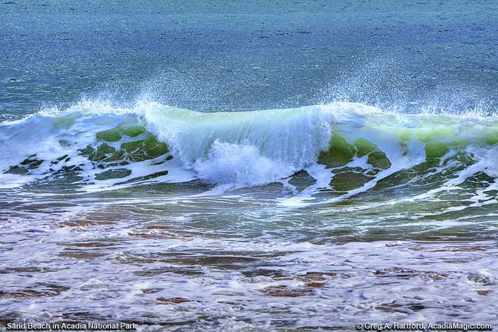 Ocean wave during winter at Sand Beach in Acadia National Park