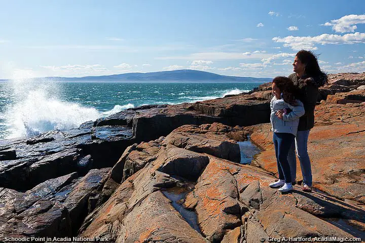 Schoodic Point in Acadia National Park