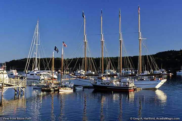 A view of several yachts in the harbor seen from the Shore Path