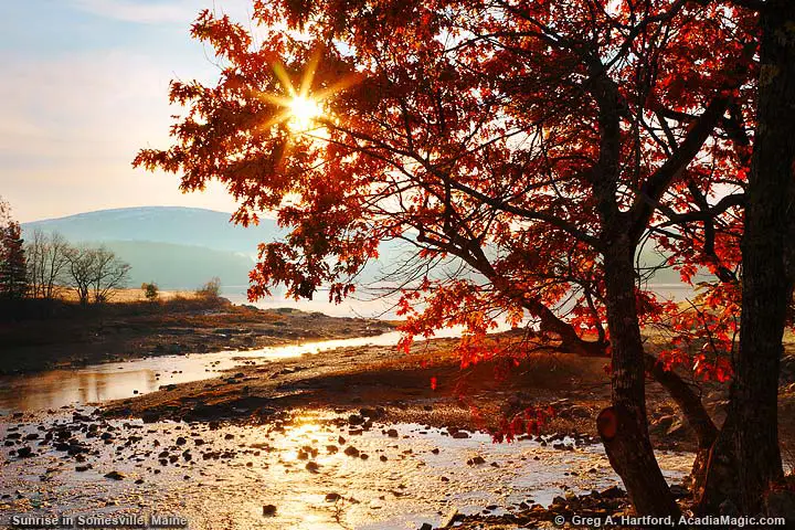 Autumn season with sunburst through leaves