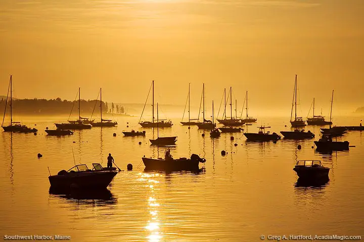peaceful sunrise on harbor