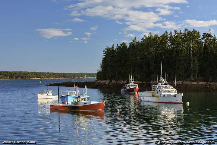 Lobster boats in Winter Harbor, Maine