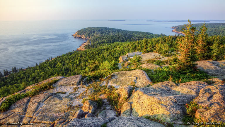 View of Otter Cliff from Gorham Mountain in Acadia