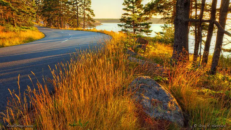 Park Loop Road in Acadia National Park