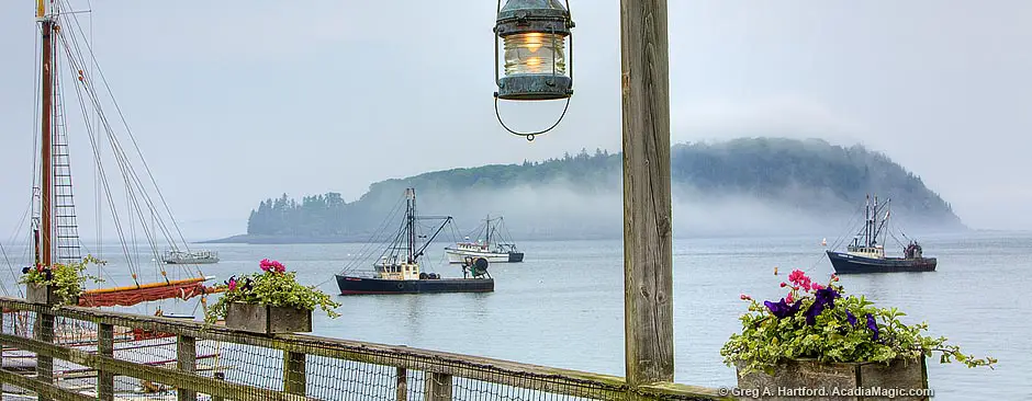 Foggy morning in Bar Harbor, Maine
