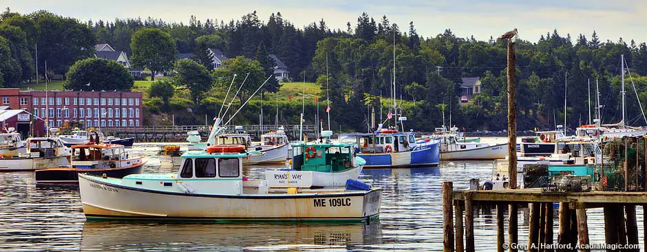 Lobster boats in Bass Harbor, Maine