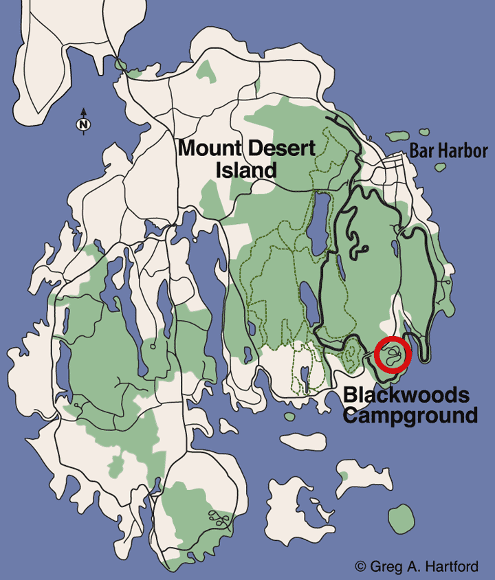 Blackwoods Campground Location Map
